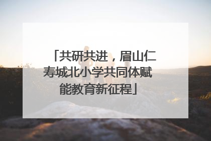 共研共进，眉山仁寿城北小学共同体赋能教育新征程